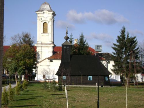 ancu