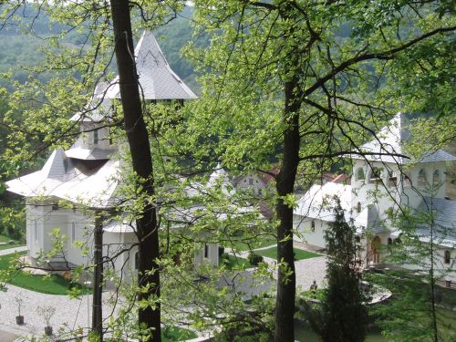 ancu