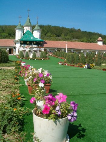 bogojel