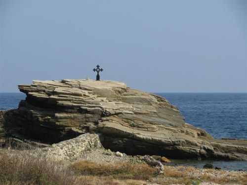 vasi