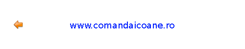 www.comandaicoane.ro